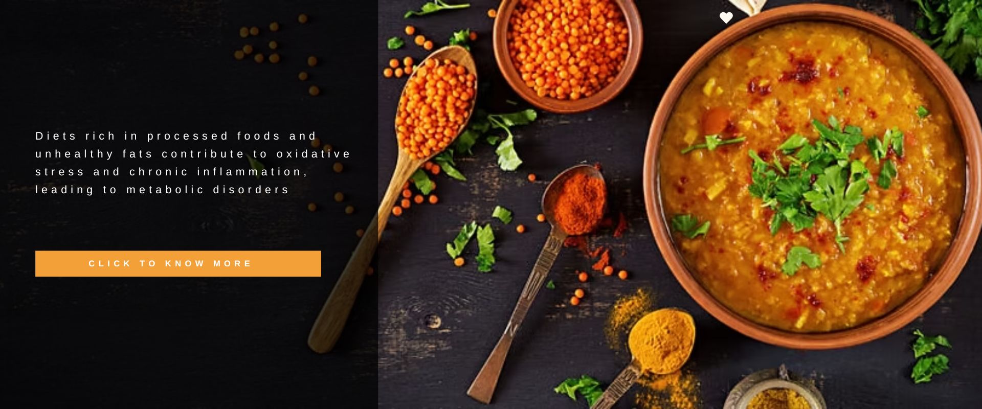 Nutrition for Adults – Building a Healthier Future Through a Whole Food Plant-Based Diet
