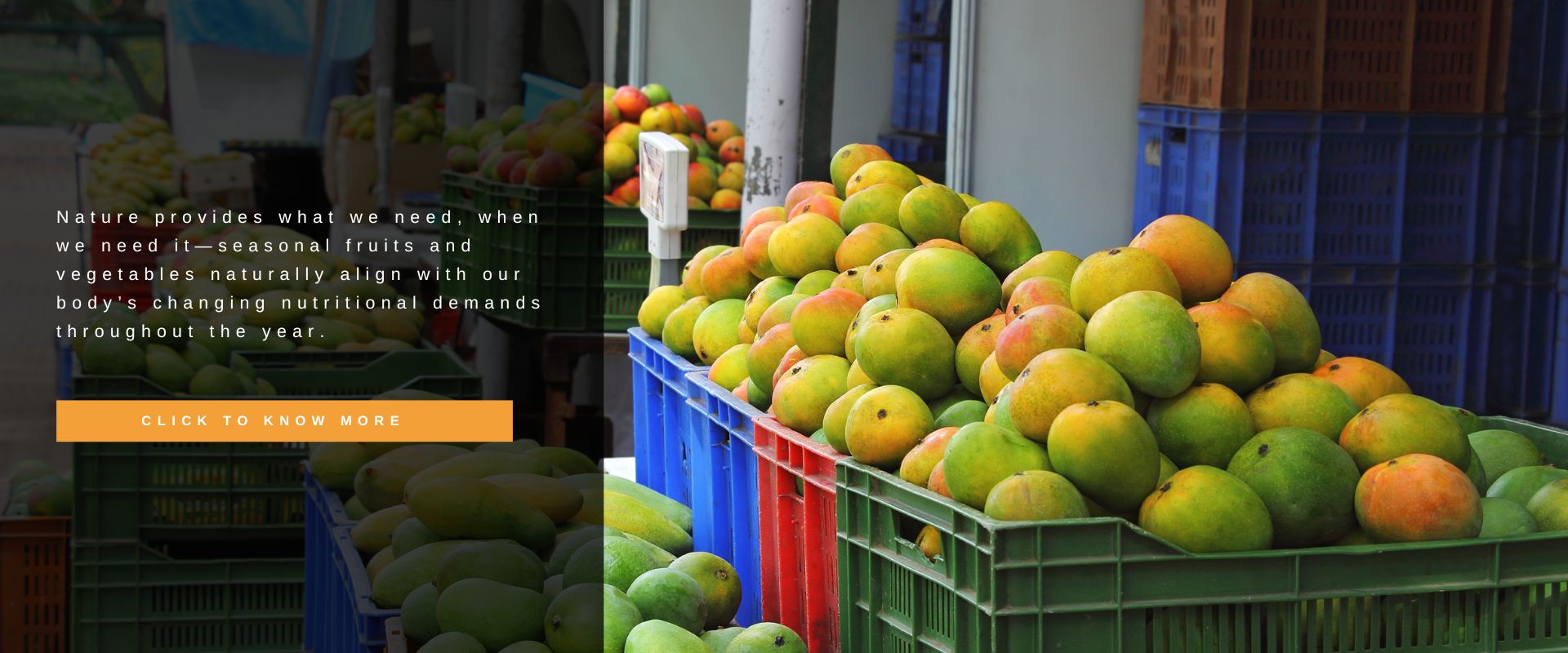 Nature Knows Best: How Seasonal Foods Align with Your Body’s Nutritional Needs